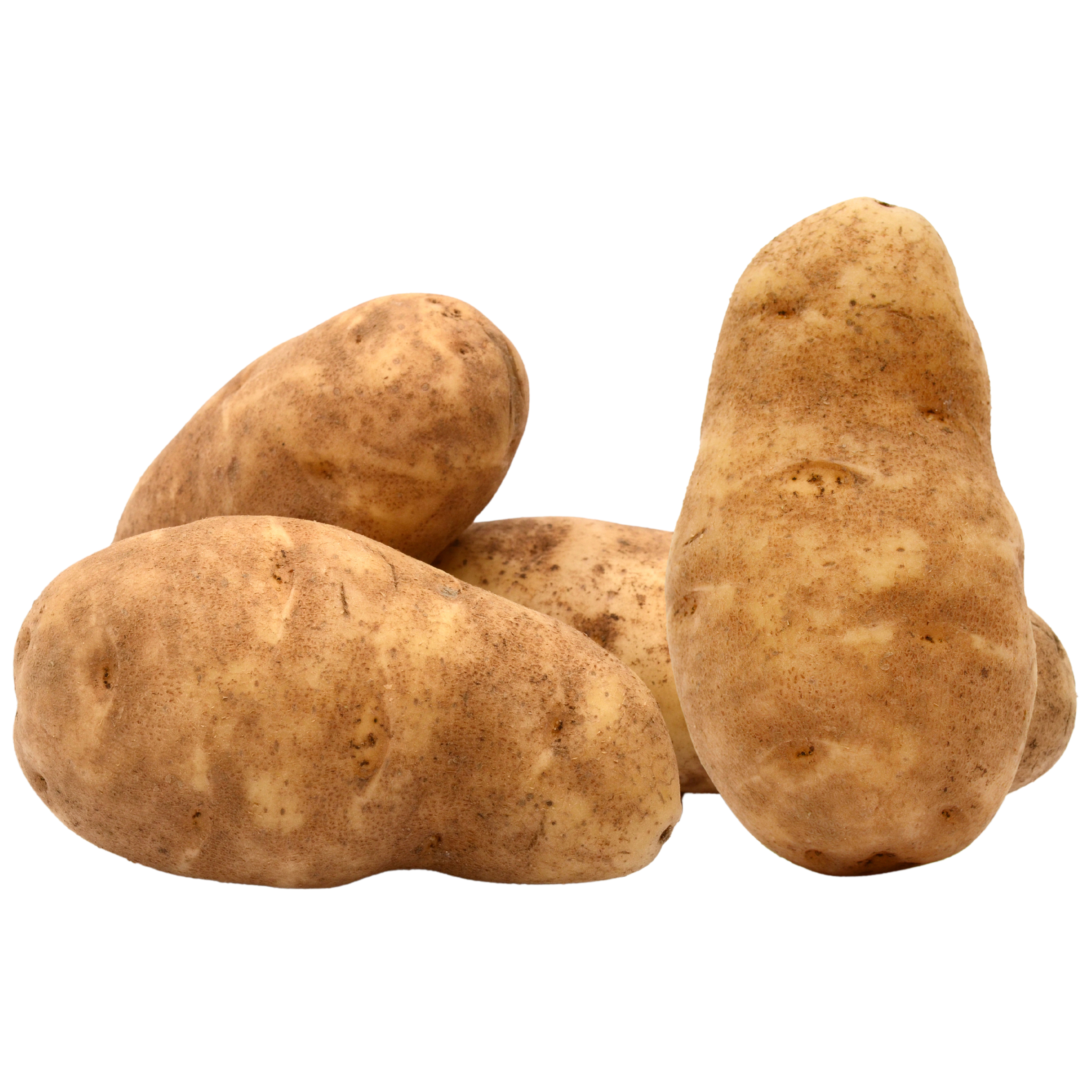 Loose Russet Potatoes