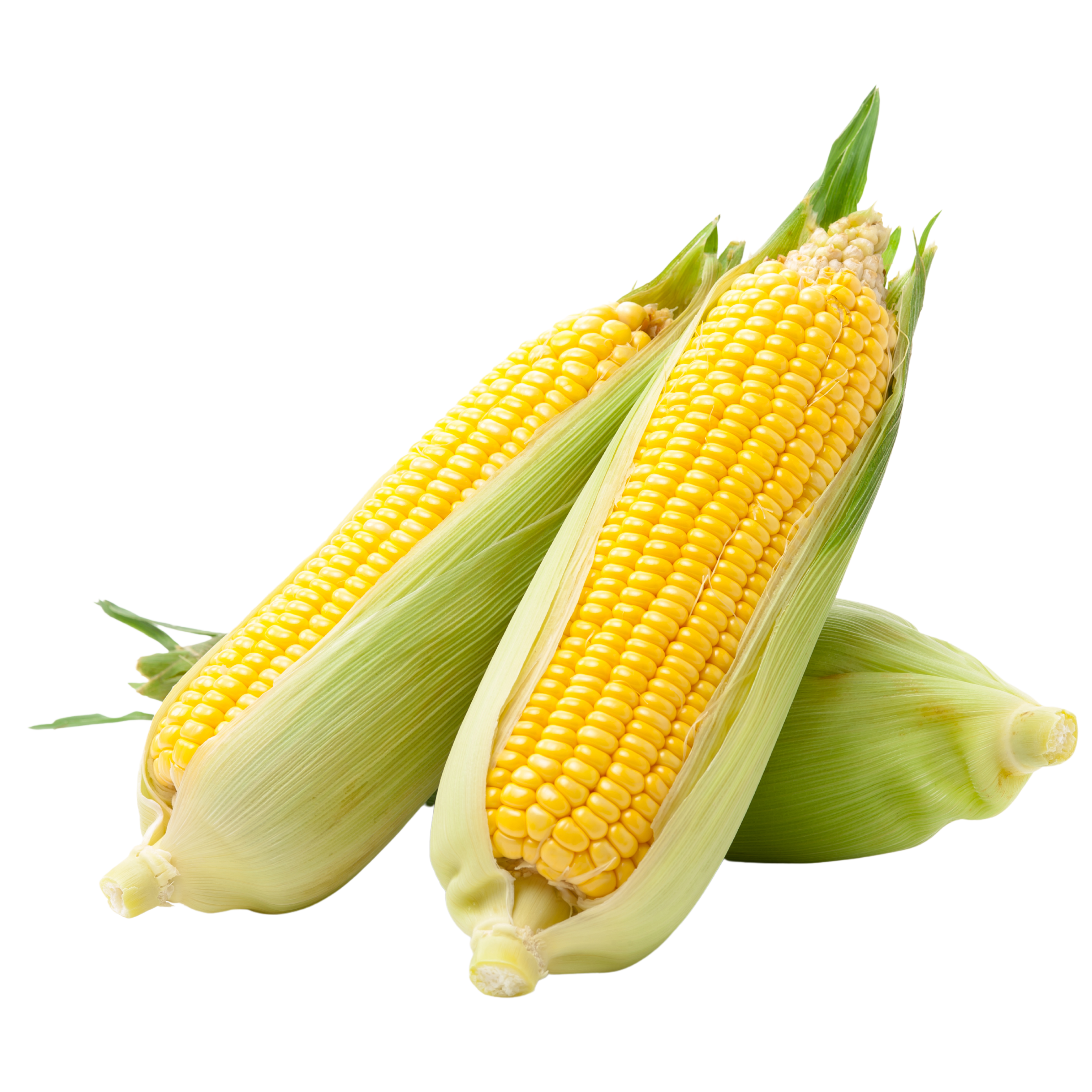 Yellow Corn