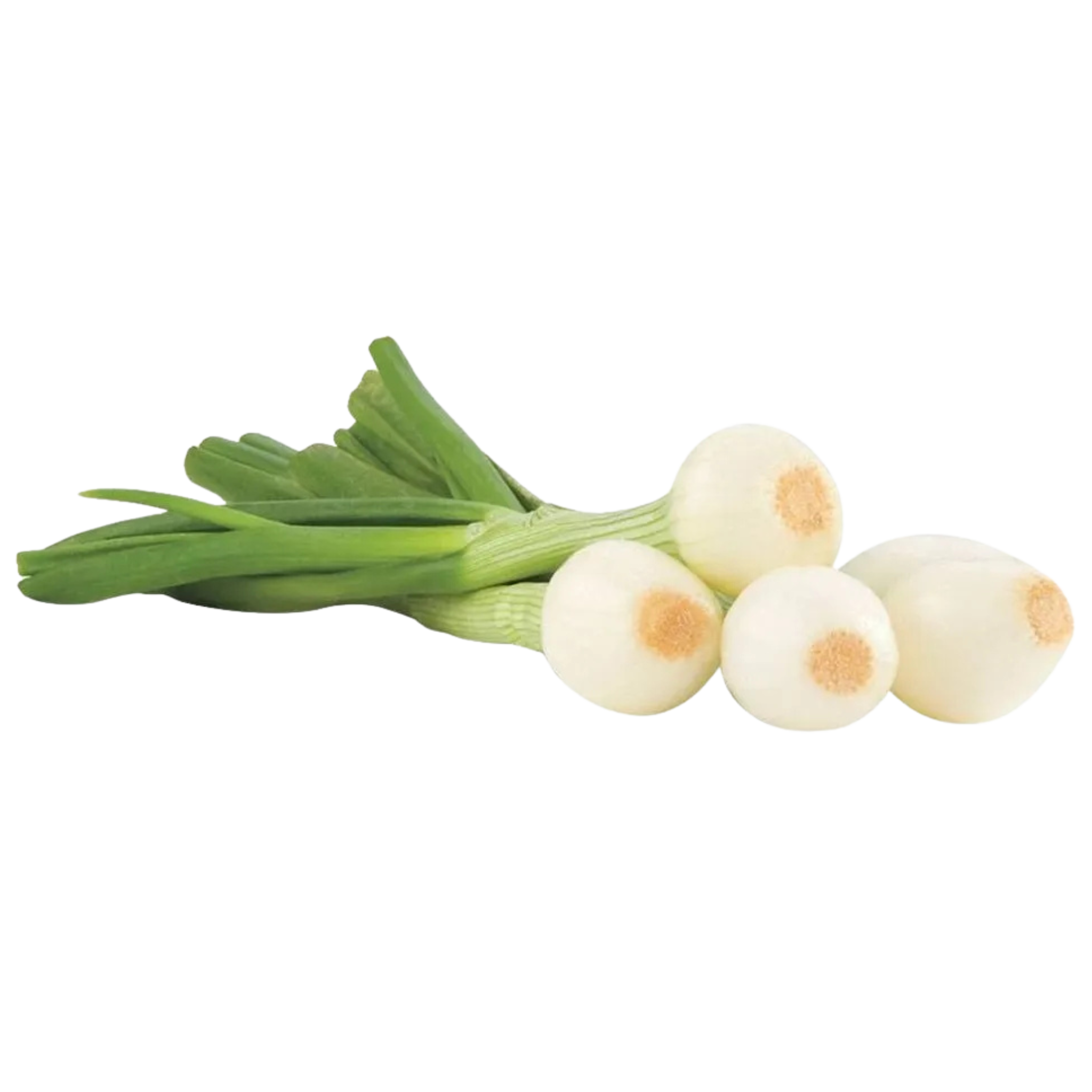 Mexican Green Onions 