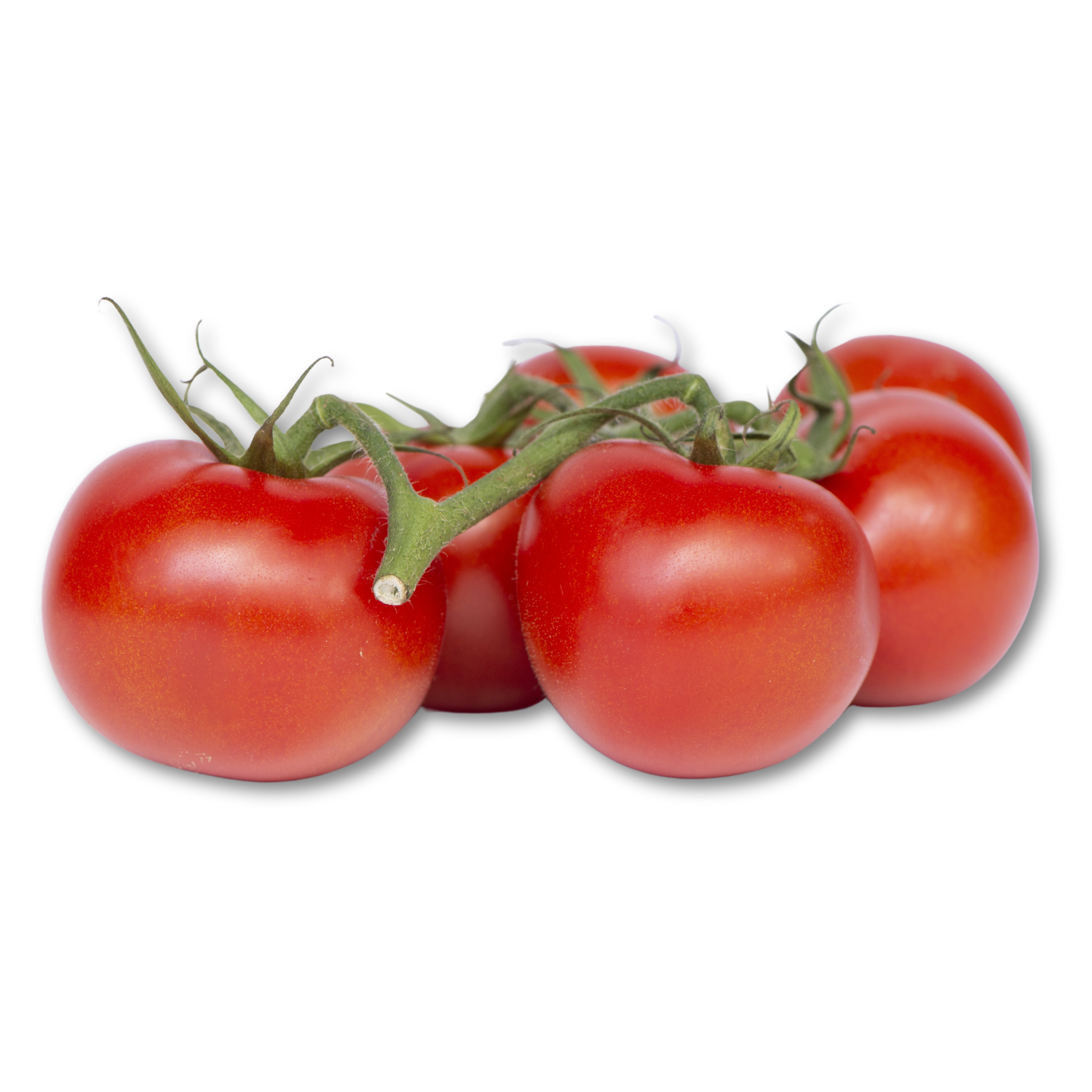 Round Tomatoes
